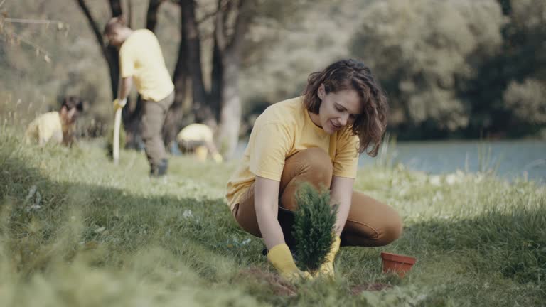 Best Lawn Pest Prevention  in Marshall, WI